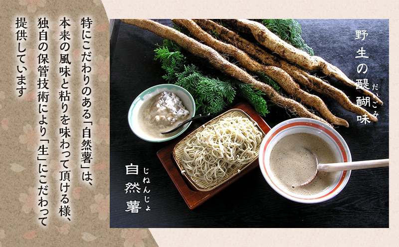 伊豆さくら亭 お食事補助券 3,000円分 チケット 食事 補助券 お食事処 蕎麦 石臼挽き二八そば 自然薯 桜エビのかき揚げ 粘り 濃厚な旨味 河津町 静岡県 食事券 静岡