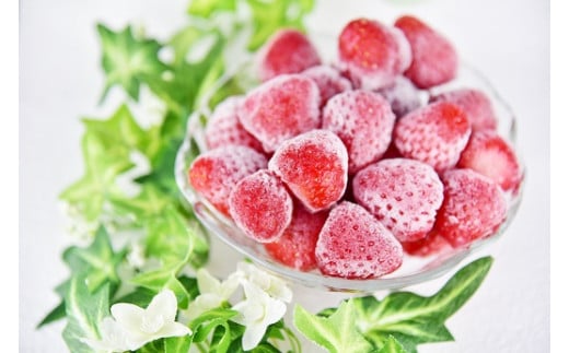 【先行予約＿2026年出荷分】特別賞受賞！完熟冷凍いちご 1kg BabyBerryFarm　いちご 果物 フルーツ 苺 イチゴ 冷凍 くだもの 静岡県産 期間限定　<A-1>
