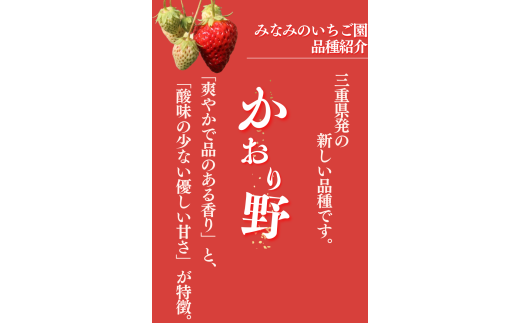 【先行予約＿2026年出荷分】 完熟いちご280g かおり野 4パック（DXパック） 【 かおり野 いちご 苺 イチゴ 果物 フルーツ くだもの 旬 伊豆 静岡県 期間限定 先行予約 】