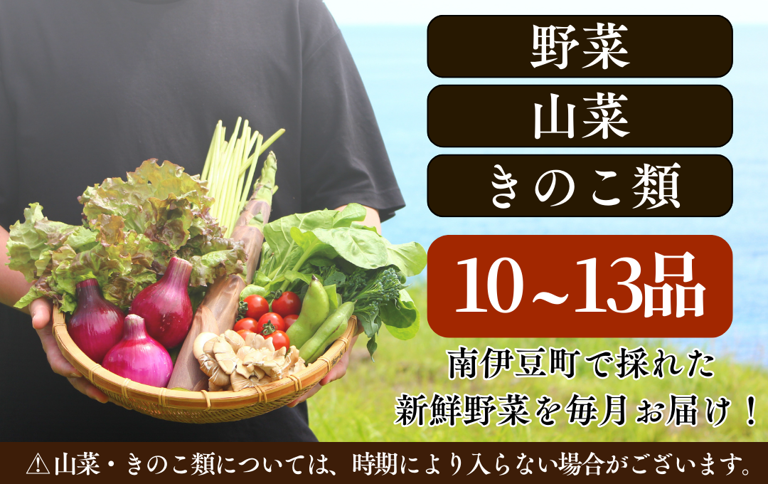 海まち野菜セット 1年間の定期便　【 野菜 やさい きのこ 山菜 セット 定期 旬 定期便 人気 詰め合わせ 12ヵ月 おまかせ 新鮮  】　<BC-64>