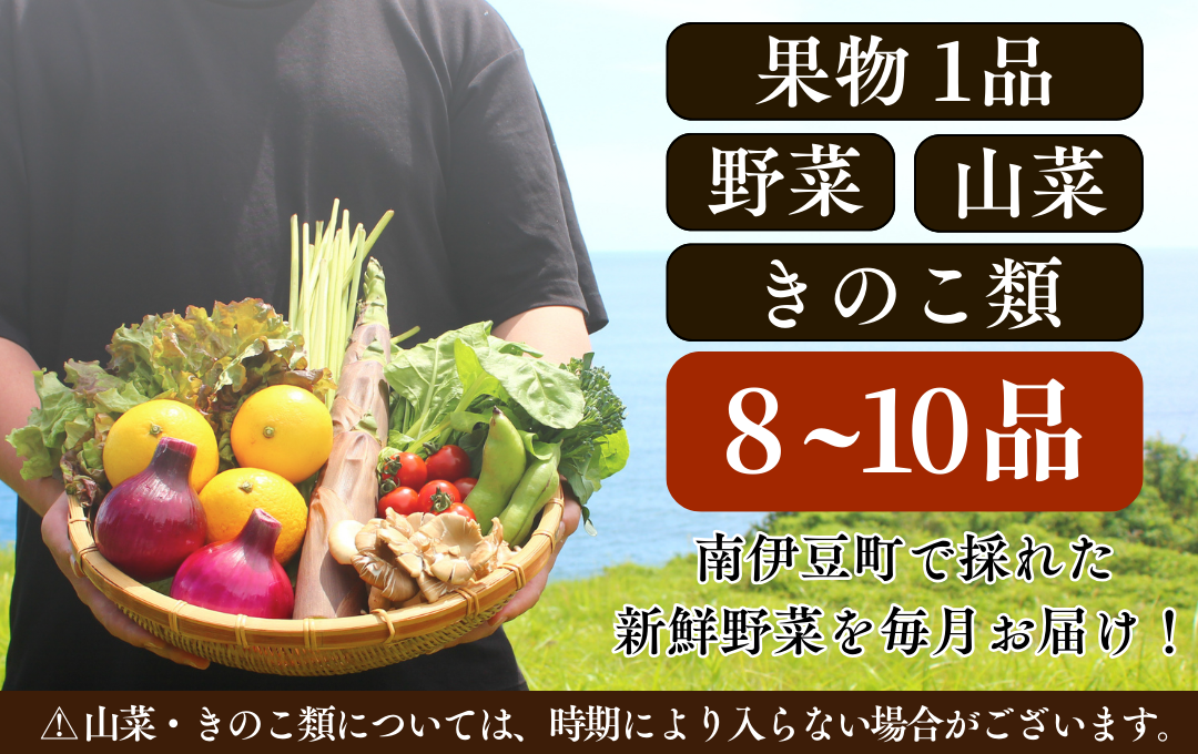 海まち野菜と果物セット 1年間の定期便　【 野菜 やさい きのこ 山菜 柑橘 みかん 果物 フルーツ セット 定期 旬 定期便 人気 詰め合わせ 12ヵ月 おまかせ 新鮮  】　<BC-63>