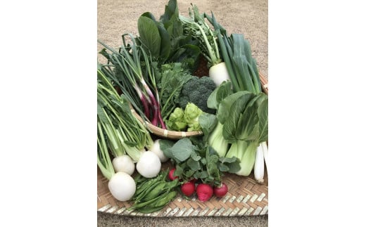 湯の花　季節の野菜セット　<BC-83>