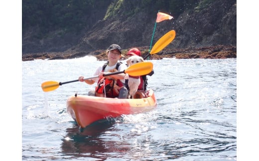 ワンちゃんと一緒にシーカヤック体験(4人※大人・子供問わず、ワンちゃん1匹)　【 伊豆 アウトドア 犬 観光 カヤック 初心者 海 シーアクティビティ ふるさと納税 静岡 】　<BU-2>