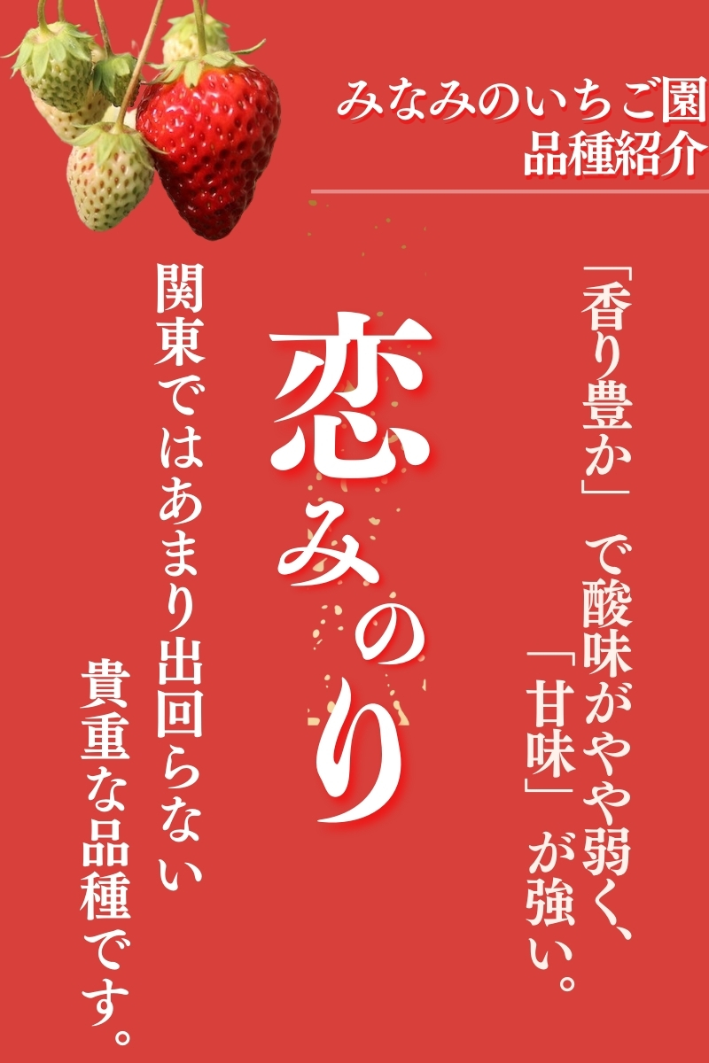 【先行予約＿2026年出荷分】完熟いちご280g 恋みのり 2パック（DXパック） 【 恋みのり いちご 苺 イチゴ 果物 フルーツ くだもの 旬 伊豆 静岡県 期間限定】　<AA-10>