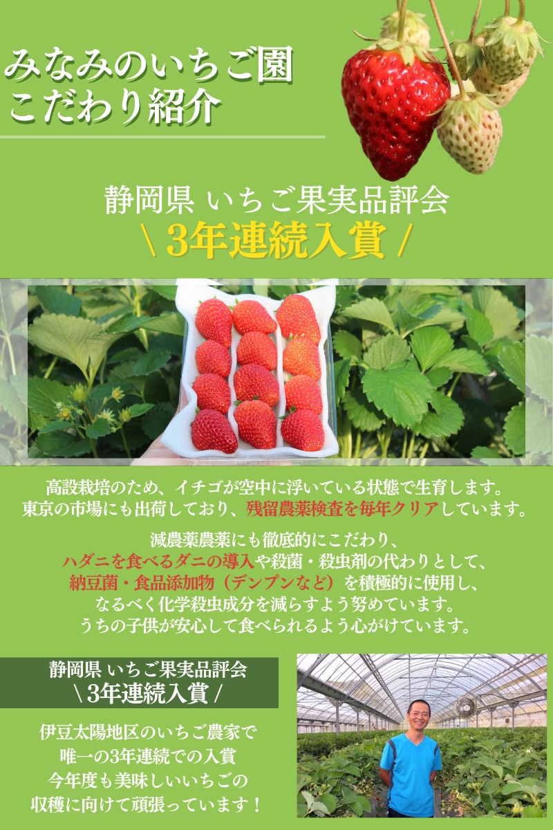 【先行予約＿2026年出荷分】 完熟いちご280g かおり野 2パック（DXパック） 【 かおり野 いちご 苺 イチゴ 果物 フルーツ くだもの 旬 伊豆 静岡県 期間限定 先行予約 】