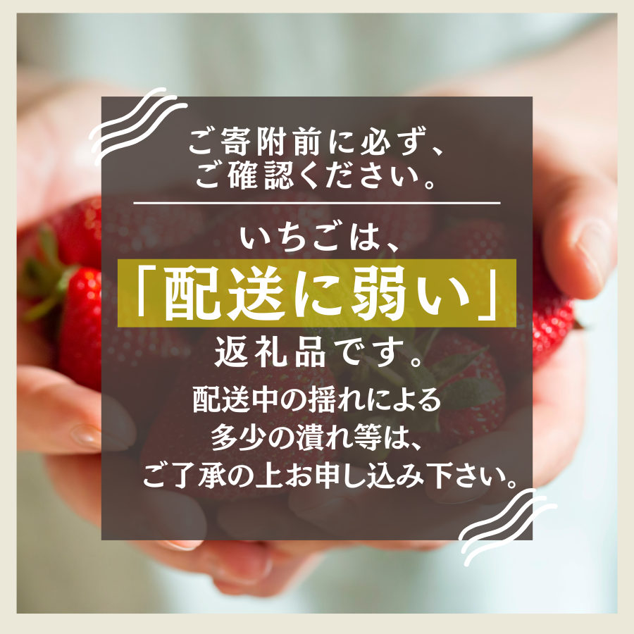 【先行予約＿2026年出荷分】 完熟いちご280g かおり野 4パック（DXパック） 【 かおり野 いちご 苺 イチゴ 果物 フルーツ くだもの 旬 伊豆 静岡県 期間限定 先行予約 】