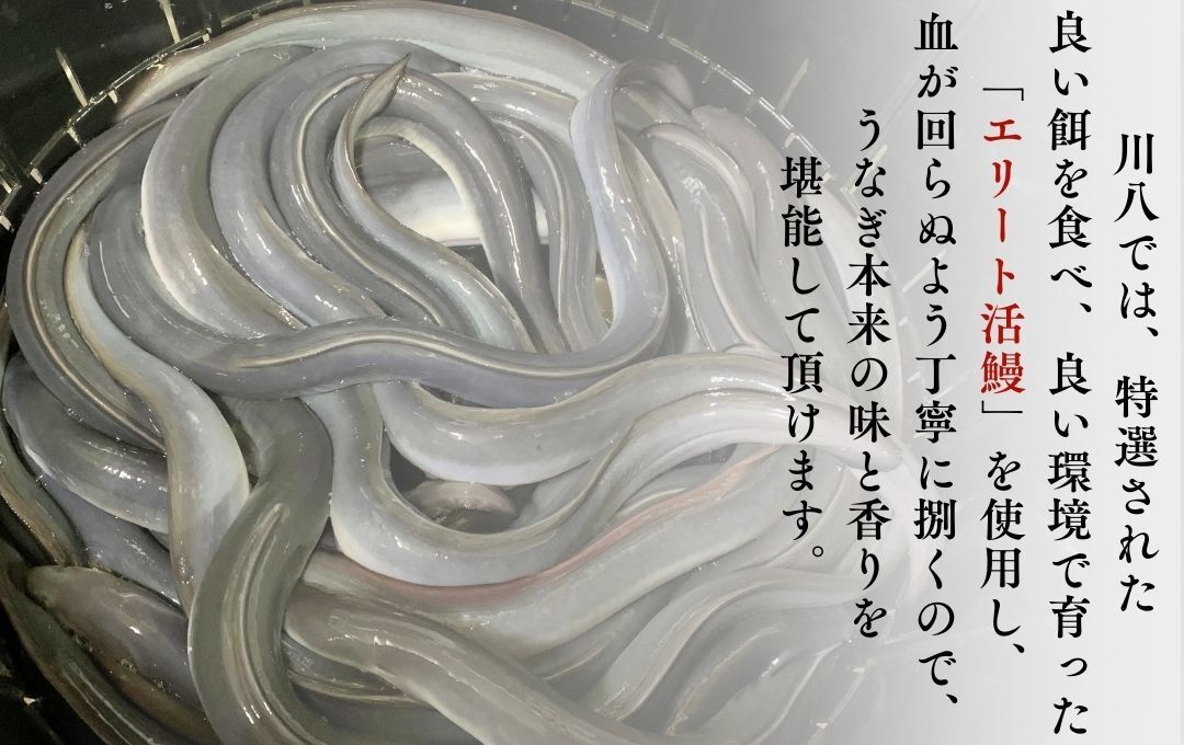 ～ かくれうなぎ誕生の店　川八うなぎ蒲焼1人前 【 鰻 うなぎ ウナギ 蒲焼き 丑の日 冷凍 静岡 伊豆 】