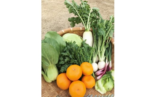 湯の花　季節の野菜と果物セット　 柑橘  果物 野菜 静岡県産 南伊豆町  定期便 おまかせ 旬 みかん やさい　<BC-82>