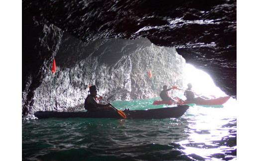 ワンちゃんと一緒にシーカヤック体験(4人※大人・子供問わず、ワンちゃん1匹)　【 伊豆 アウトドア 犬 観光 カヤック 初心者 海 シーアクティビティ ふるさと納税 静岡 】　<BU-2>