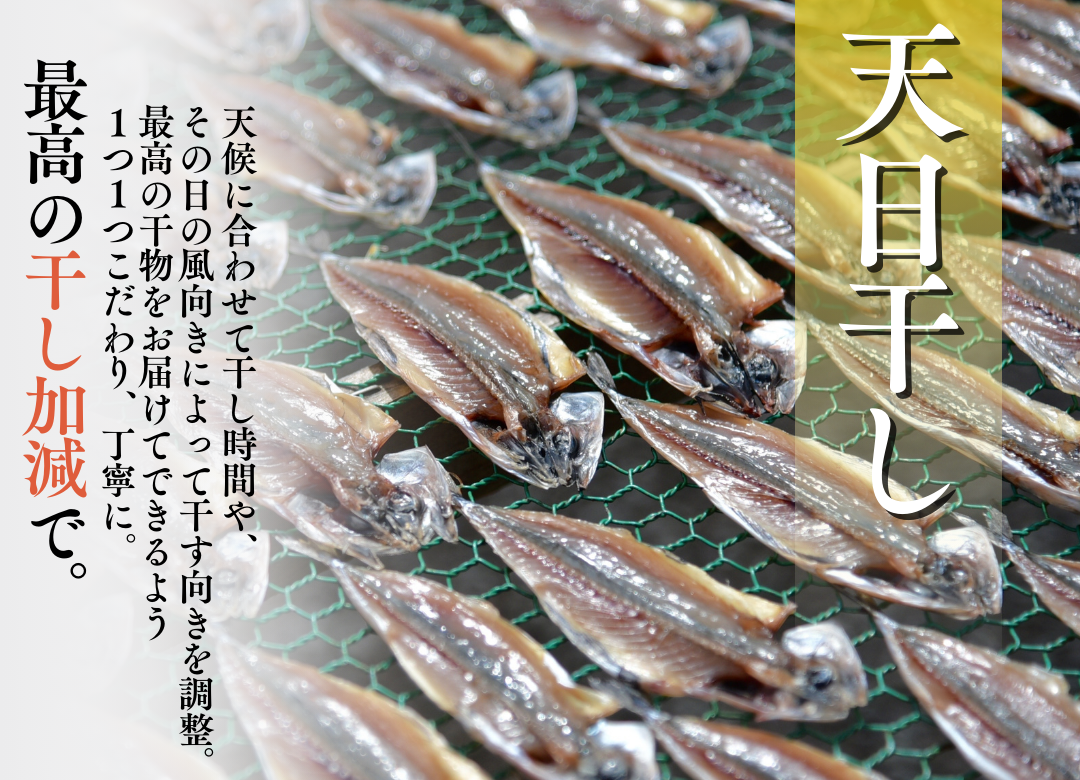 ひもの直送便セット　【 干物 ひもの セット 詰め合わせ 静岡県産 伊豆 魚介類 アジ 金目鯛 キンメ  きびなご みりん かます 冷凍 人気 おすすめ 】　<J-5>