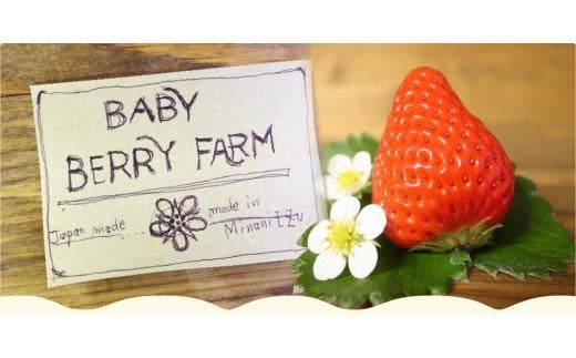 【先行予約＿2026年出荷分】特別賞受賞！完熟冷凍いちご 1kg BabyBerryFarm　いちご 果物 フルーツ 苺 イチゴ 冷凍 くだもの 静岡県産 期間限定　<A-1>