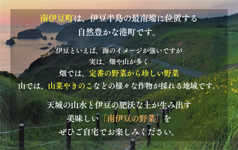 海まち野菜と果物セット 1年間の定期便　【 野菜 やさい きのこ 山菜 柑橘 みかん 果物 フルーツ セット 定期 旬 定期便 人気 詰め合わせ 12ヵ月 おまかせ 新鮮  】　<BC-63>