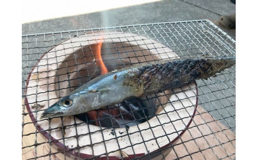 湯の花　干物セット6種　干物 ひもの おまかせ アジ サバ あじ さば 詰め合わせ 伊豆 海鮮 静岡県産　<BC-19>