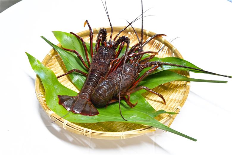 南伊豆町ふるさと寄附感謝券3枚【 伊豆 宿泊 旅行 宿 旅館 観光 グルメ 食事 アクティビティ 南伊豆 静岡 】