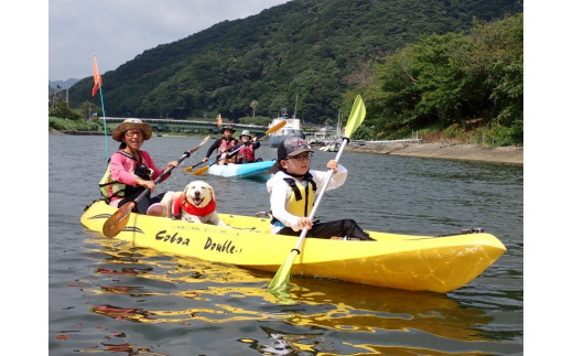 ワンちゃんと一緒にシーカヤック体験(4人※大人・子供問わず、ワンちゃん1匹)　【 伊豆 アウトドア 犬 観光 カヤック 初心者 海 シーアクティビティ ふるさと納税 静岡 】　<BU-2>