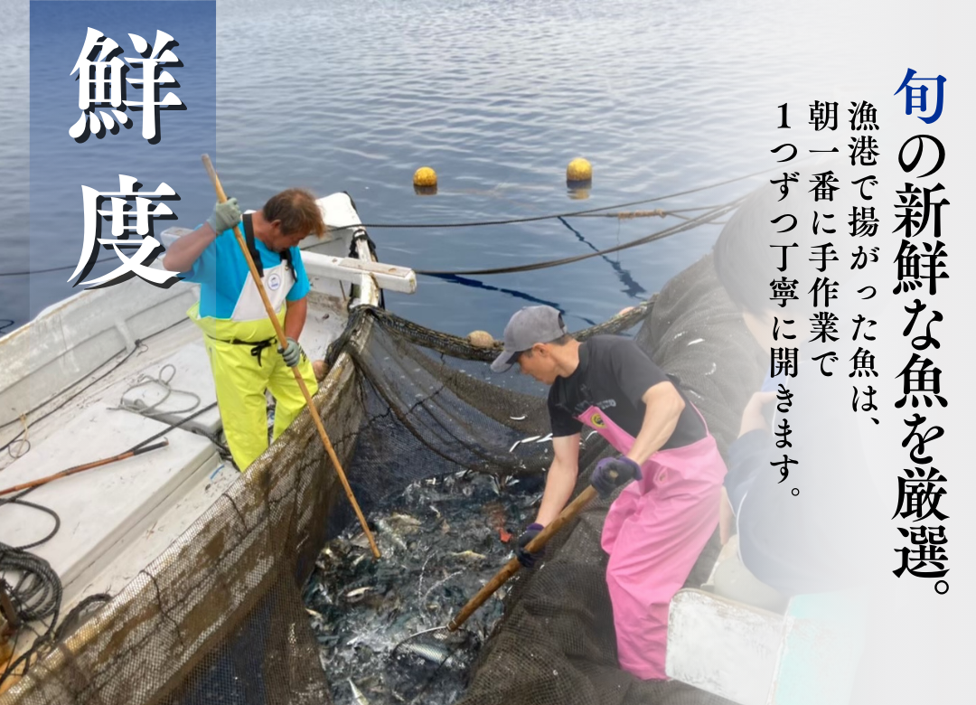 ひもの直送便セット　【 干物 ひもの セット 詰め合わせ 静岡県産 伊豆 魚介類 アジ 金目鯛 キンメ  きびなご みりん かます 冷凍 人気 おすすめ 】　<J-5>