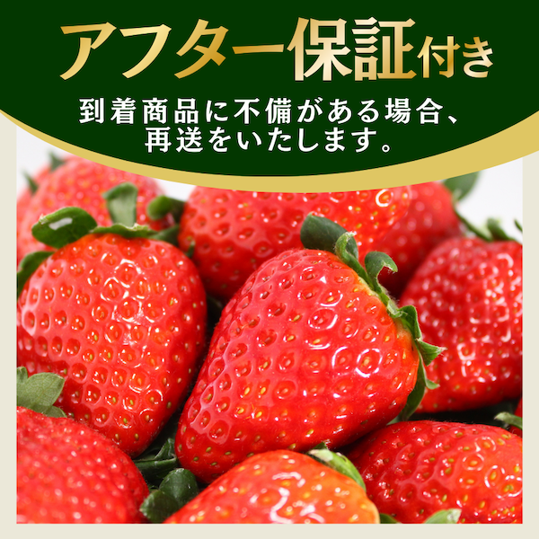 【先行予約＿2026年出荷分】 完熟いちご280g かおり野 4パック（DXパック） 【 かおり野 いちご 苺 イチゴ 果物 フルーツ くだもの 旬 伊豆 静岡県 期間限定 先行予約 】