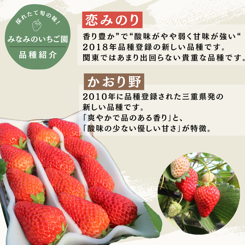 【先行予約＿2026年出荷分】完熟冷凍イチゴ　2kg（約7.6パック相当）恋みのり、かおり野　から厳選　【 いちご 果物 フルーツ 苺 イチゴ 冷凍 果物 フローズン くだもの 大容量 静岡県産 期間限定 】　<AA-5>