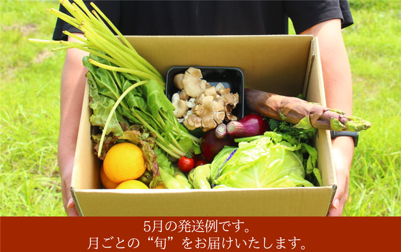 海まち野菜と果物セット 1年間の定期便　【 野菜 やさい きのこ 山菜 柑橘 みかん 果物 フルーツ セット 定期 旬 定期便 人気 詰め合わせ 12ヵ月 おまかせ 新鮮  】　<BC-63>