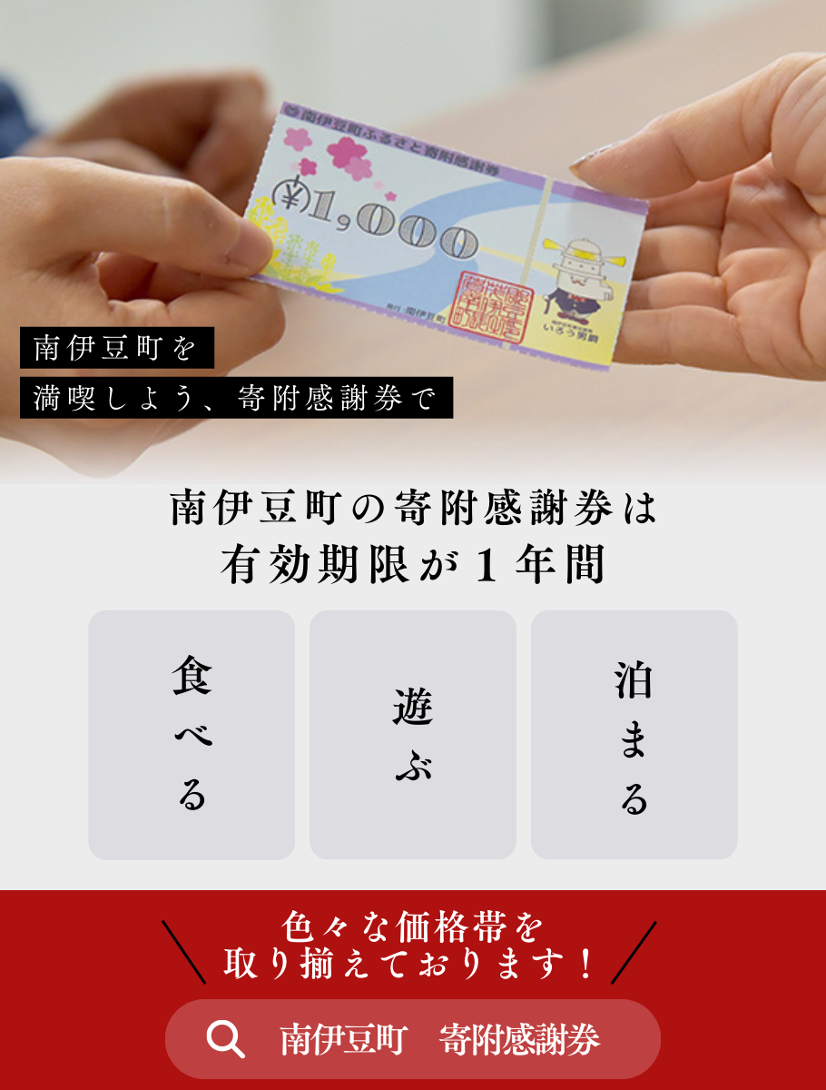 南伊豆町ふるさと寄附感謝券3枚【 伊豆 宿泊 旅行 宿 旅館 観光 グルメ 食事 アクティビティ 南伊豆 静岡 】