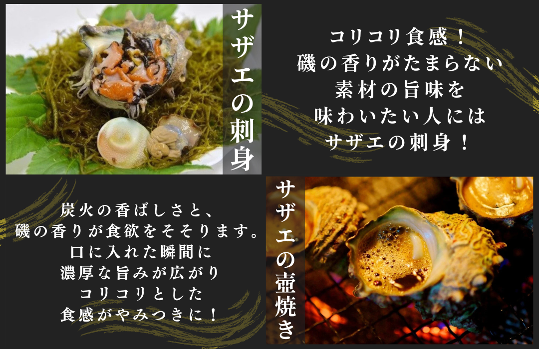 伊豆の海鮮よくばり便　~海産物詰め合わせ~【伊勢海老 イセエビ 鮑 アワビ さざえ サザエ 天然 活 魚介 定期便 豪華 厳選 魚 貝 海産物 海鮮 大容量 刺身 海鮮セット BBQ バーベキュー】　<AS-21>