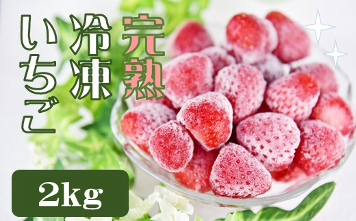 【先行予約＿2026年出荷分】特別賞受賞！完熟冷凍いちご 2kg BabyBerryFarm　いちご 果物 フルーツ 苺 イチゴ 冷凍 くだもの 静岡県産 期間限定