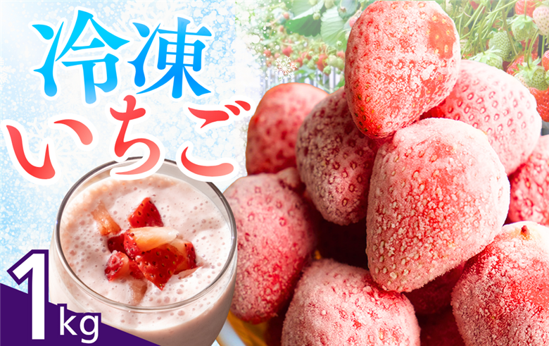 【先行予約＿2026年出荷分】完熟冷凍イチゴ　1kg（約3.8パック相当） 恋みのり、かおり野　から厳選　【 いちご 果物 フルーツ 苺 イチゴ 冷凍 果物 フローズン くだもの 大容量 静岡県産 期間限定 】
