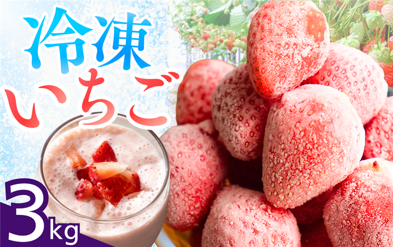 【先行予約＿2026年出荷分】完熟冷凍イチゴ　3kg（約11.4パック相当）恋みのり、かおり野　から厳選　【 いちご 果物 フルーツ 苺 イチゴ 冷凍 果物 フローズン くだもの 大容量 静岡県産 期間限定 】　<AA-19>