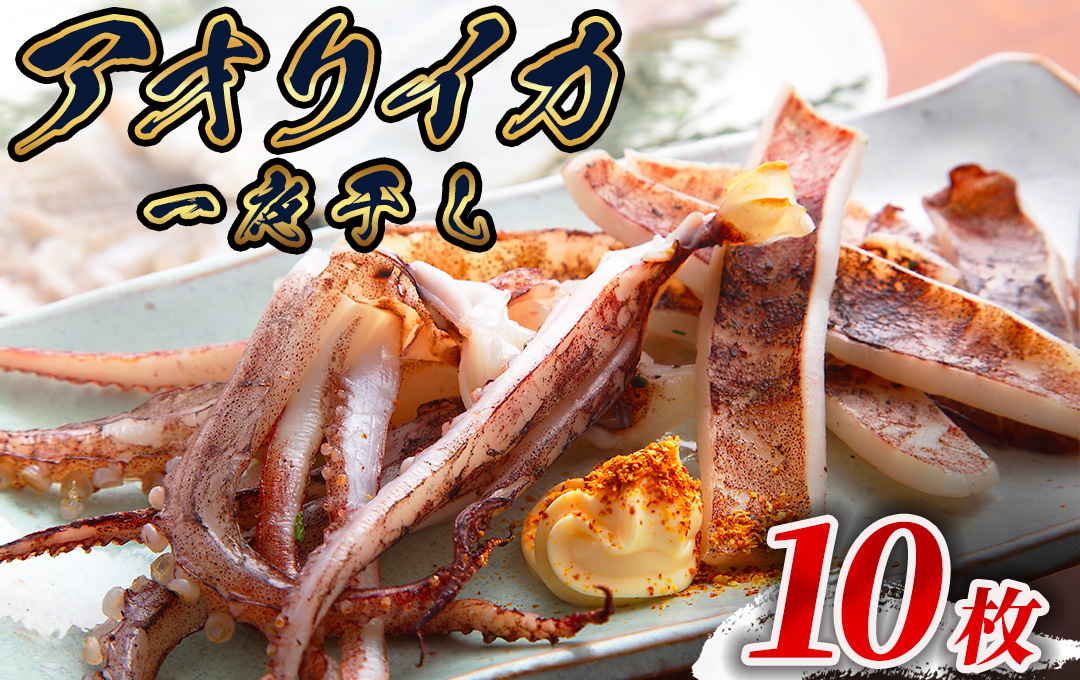 【伊豆漁協加工・直送！】アオリイカ 一夜干し 10枚　【 イカ アオリイカ 一夜干し ゲソ 新鮮 冷凍 直送 美味い おすすめ 水イカ 】