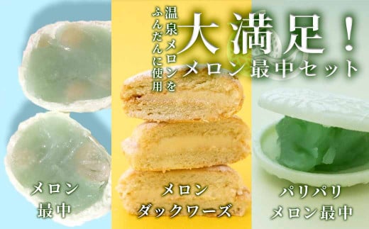 メロン最中セット[B]　【 スイーツ デザート メロン めろん 国産 ふるさと納税 果物 メロン ふるさと納税 最中 もなか おやつ デザート ダックワーズ 】　<AW-8>