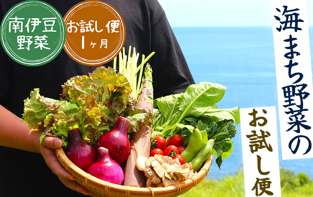 海まち野菜セット　【 野菜 やさい きのこ 山菜 セット 定期 旬 定期便 人気 詰め合わせ 1ヵ月 おまかせ 新鮮  】　<BC-14>