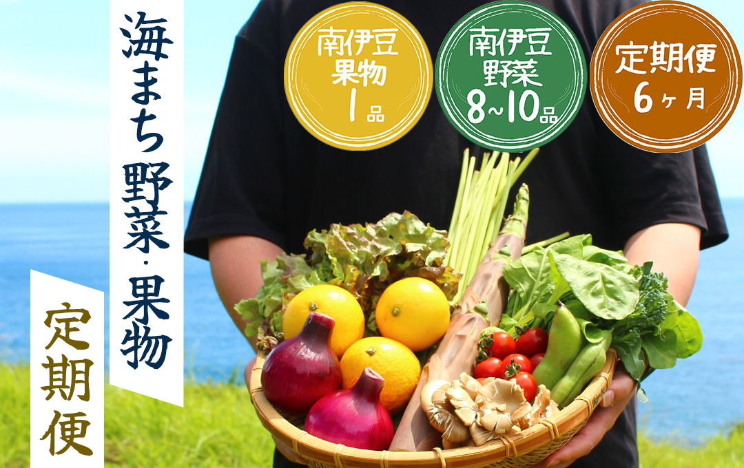 海まち野菜と果物セット 6ヶ月間の定期便　【 野菜 やさい きのこ 山菜 柑橘 みかん 果物 フルーツ セット 定期 旬 定期便 人気 詰め合わせ 6ヵ月 おまかせ 新鮮  】　<BC-58>