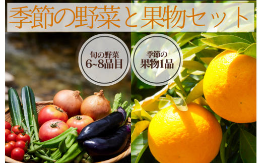 湯の花　季節の野菜と果物セット　 柑橘  果物 野菜 静岡県産 南伊豆町  定期便 おまかせ 旬 みかん やさい　<BC-82>
