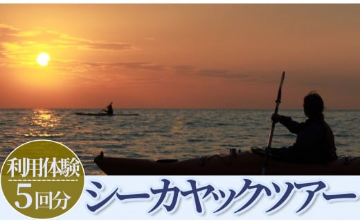 南伊豆シーカヤックツアー　体験5回分　<BT-3>