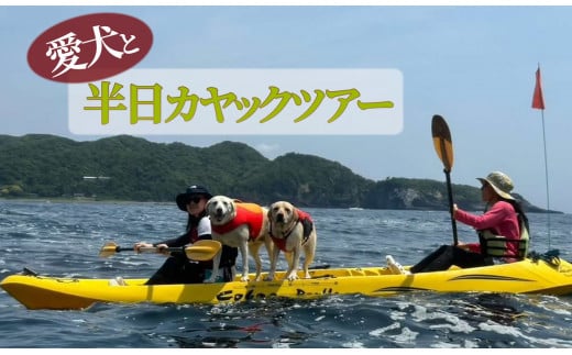 ワンちゃんと一緒にシーカヤック体験(4人※大人・子供問わず、ワンちゃん1匹)　【 伊豆 アウトドア 犬 観光 カヤック 初心者 海 シーアクティビティ ふるさと納税 静岡 】　<BU-2>