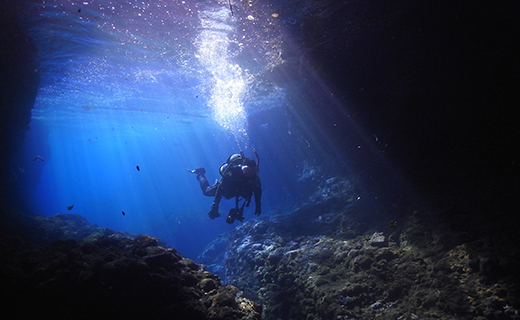 【６５歳以下限定】田子シーランドの「ファンダイビング・２ボート（現地サービス店）」 体験 西海岸 伊豆 ライセンス 保持者限定 マリンアクティビティ マリンスポーツ