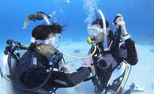 田子シーランドの「PADIライセンス講習！（宿泊付）」 ダイビング 取得 西海岸 伊豆 マリンアクティビティ マリンスポーツ