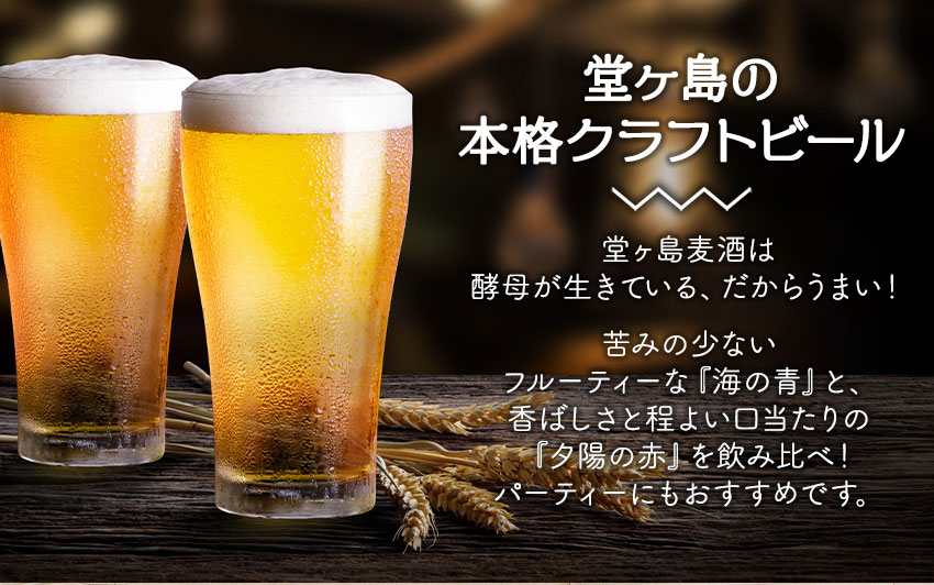 地ビール「堂ヶ島麦酒（12本セット）」  麦酒 地ビール 瓶 ご当地 堂ヶ島 飲み比べ クラフトビール 伊豆 ギフト プレゼント