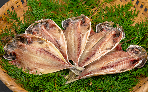 藤文の「にっぽんの干物セット定期便」（年６回） あじ 金目鯛 いか 鯖 さば ひもの 一夜干し 定期便 冷凍 伊豆 ギフト 御歳暮 御中元