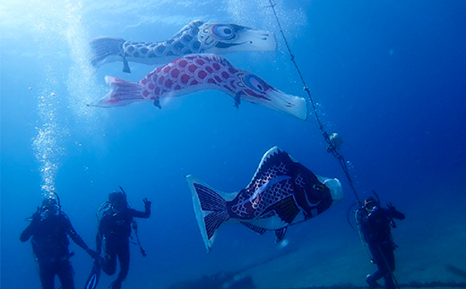 西伊豆黄金崎2ビーチダイビング(フルレンタル器材・昼食込み)