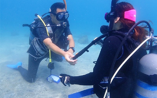2日間でダイバーデビュー！宿泊、昼食付でライセンス取得