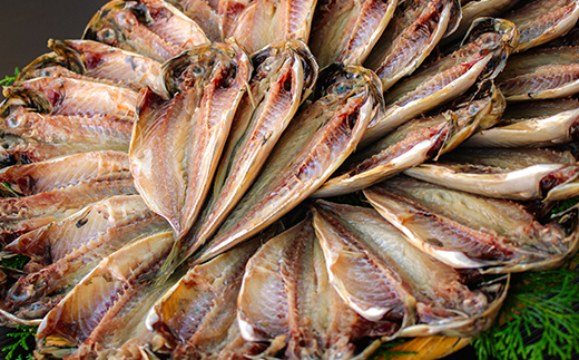 選べる内容量！ 藤文の「真あじ大満足　ライト　30枚」 干物 ひもの セット 30枚 あじ 朝食 選べる ギフト 御中元 御歳暮 伊豆 30枚