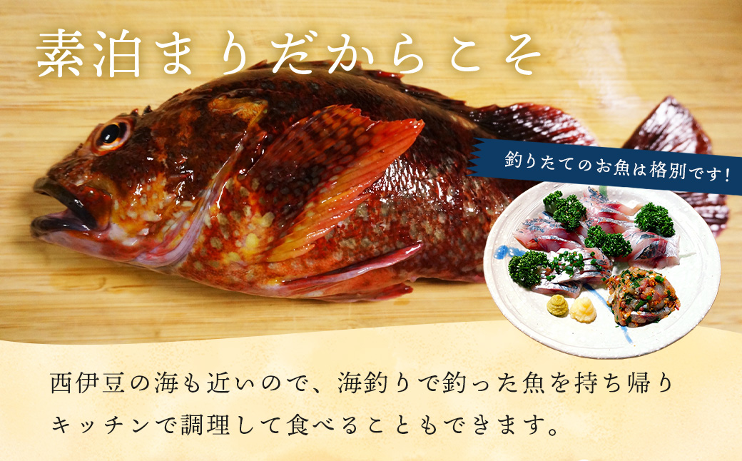 気軽にお安くプラン（１泊素泊まり1名様宿泊券） | 御宿 武蔵 むさし 民宿 宿 静岡 伊豆 西伊豆 仁科 １泊素泊まり1名様宿泊券