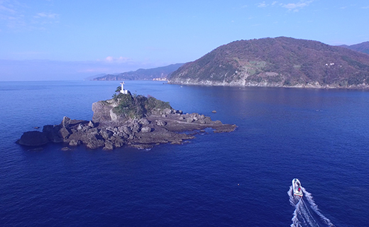 【６５歳以下限定】田子シーランドの「ファンダイビング・２ボート（現地サービス店）」 体験 西海岸 伊豆 ライセンス 保持者限定 マリンアクティビティ マリンスポーツ