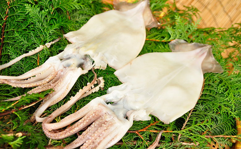 藤文の「豪快たっぷりセット」 金目鯛 あじ えぼ鯛 さば 秋刀魚 いか 干物 ひもの しゃぶしゃぶ みりん干し 冷凍 伊豆 ギフト 御歳暮 御中元