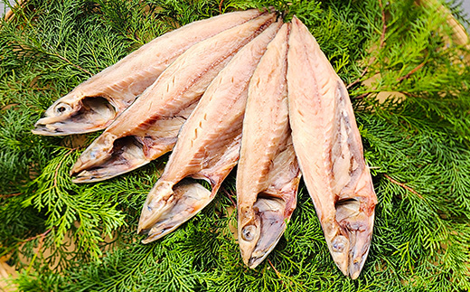 藤文の「ふるさと干物セット　22枚」 金目鯛 さば 秋刀魚 あじ 鯵 ひもの みりん干し 選べる 冷凍 伊豆 ギフト 御歳暮 御中元