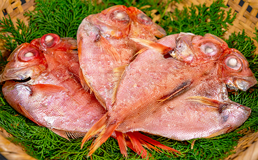 藤文の「にっぽんの干物セット」 あじ 金目鯛 いか さば ひもの 一夜干し 冷凍 静岡 伊豆 ギフト 御歳暮 御中元