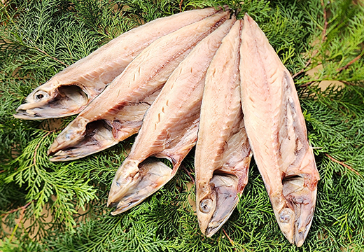 藤文の「ふるさと干物セット定期便」（年６回） 金目鯛 さば さんま あじ ひもの みりん干し 定期便 伊豆 ギフト 御歳暮 御中元