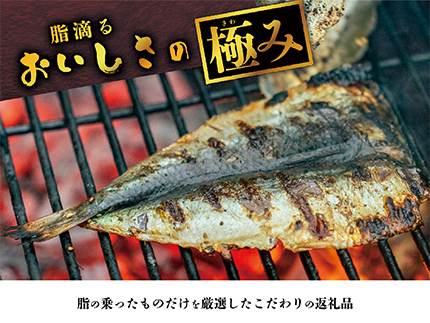 海産屋の「脂滴る極み干物セット」 トロ あじ いわし 干物 ひもの みりん干し 無添加 伊豆 静岡 御中元 御歳暮 ギフト