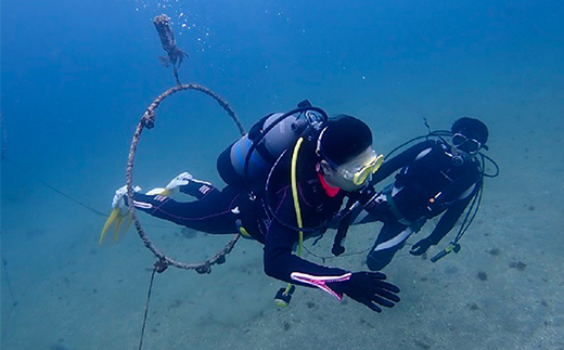 西伊豆黄金崎2ビーチダイビング(フルレンタル器材・昼食込み)